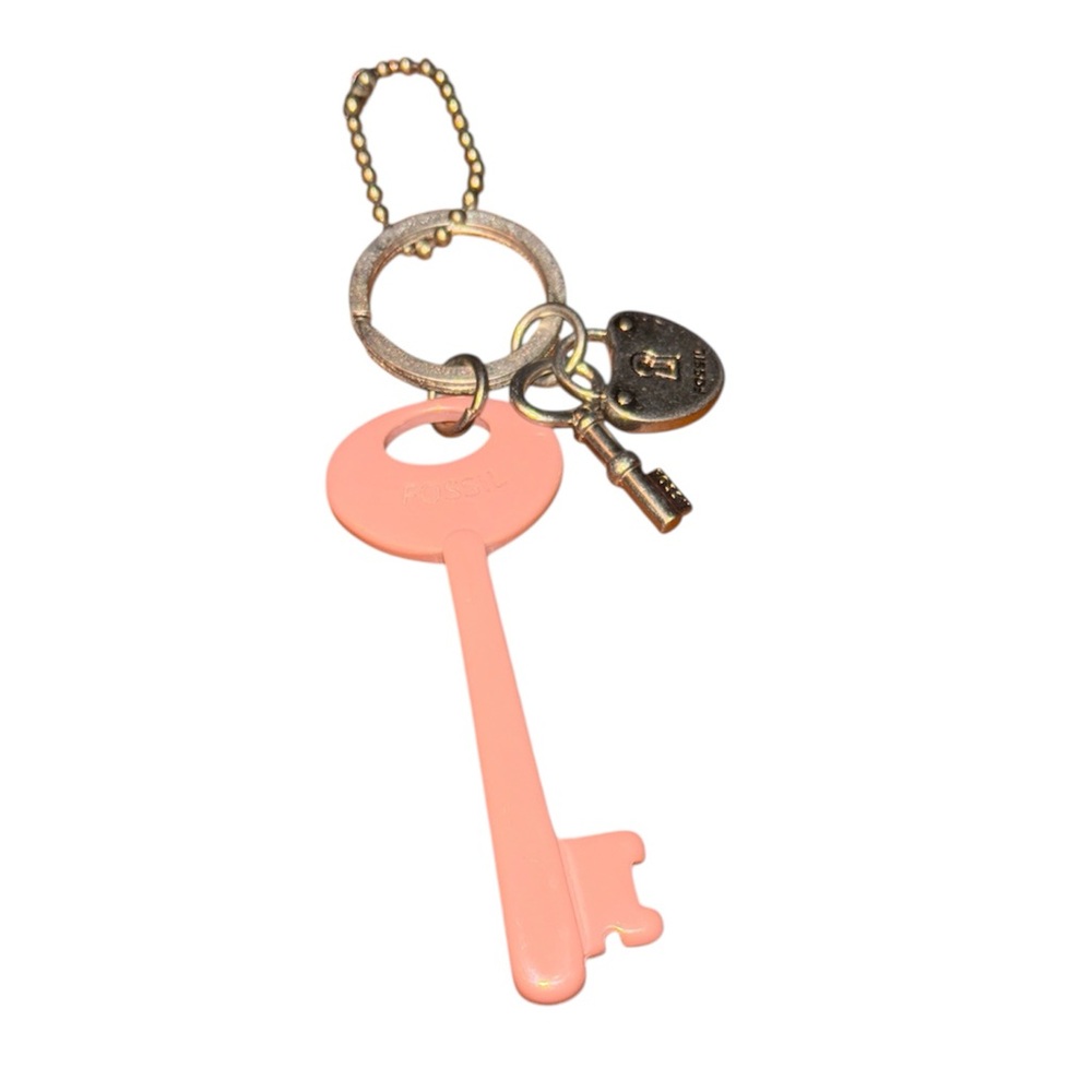Fossil key purse charm set